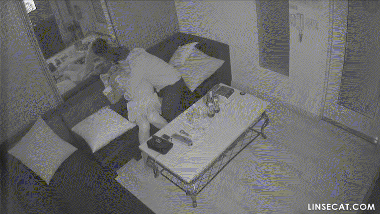 a04aff3bb847daeb9f66e1a4d57b5f05_1745728537_53.gif
