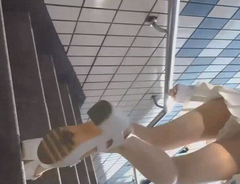 c2872004e725733e03f6d77dc1274b91_1743496717_6175.gif