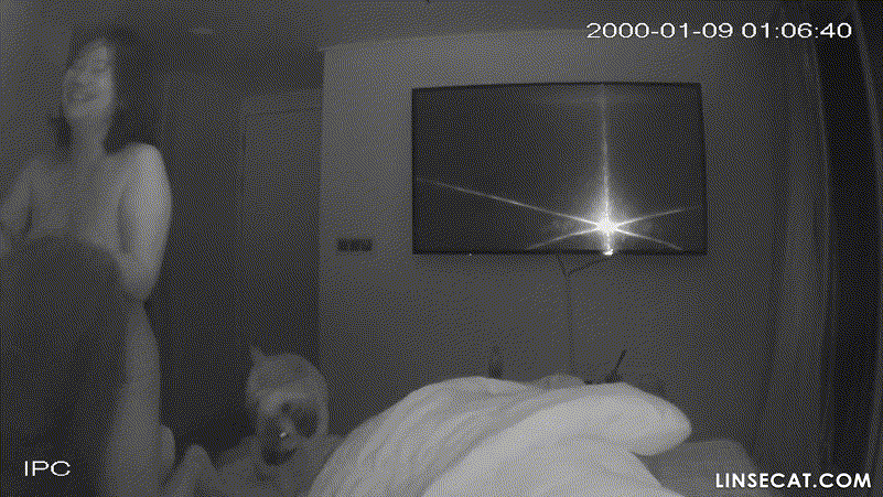 cc633729c406fb5156f2a7fd17a4a276_1745207771_7731.gif