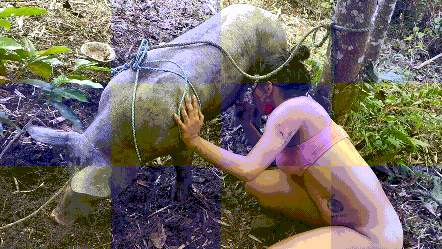 d51bd9541ba2c18b932369f7a8f73150_1745137628_2904.gif