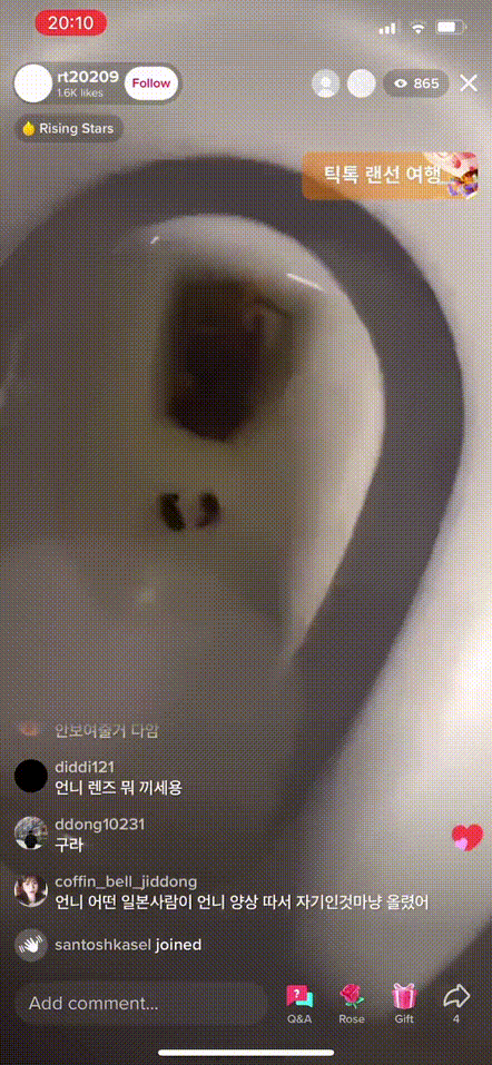 e16c916129b6d4eb5e46726bb7f999ab_1744634628_5996.gif