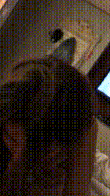 e6c8e99a7db2ee0d8d121053963a8393_1745638865_2334.gif