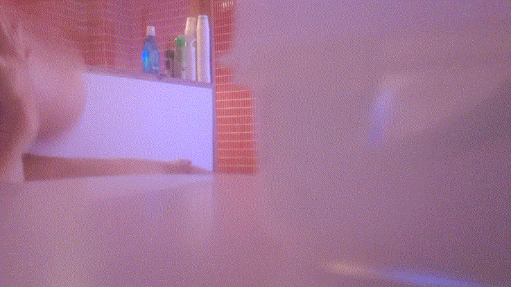 e99f6d1e0d6116f4c9b8d1cdbba78bd1_1744369698_4931.gif
