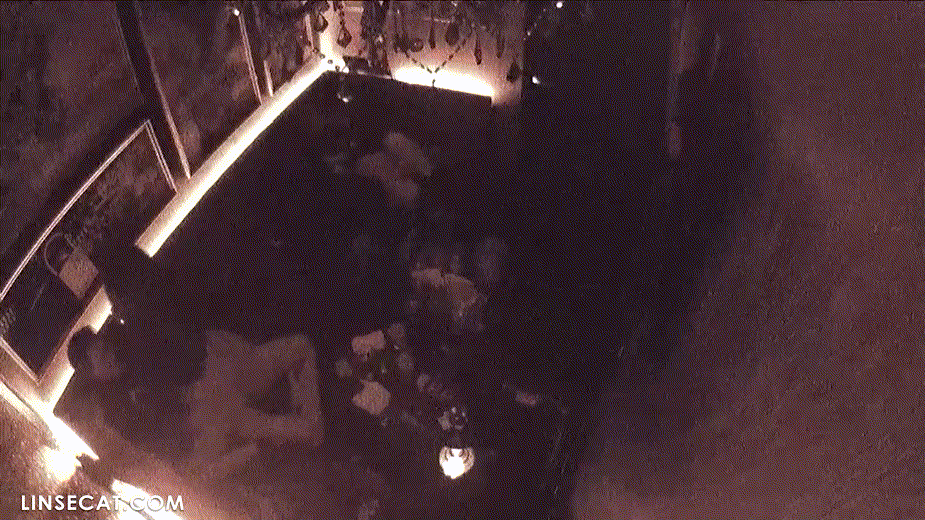 fcbbc988f545952d17c3b28cc90e9628_1744897184_0555.gif