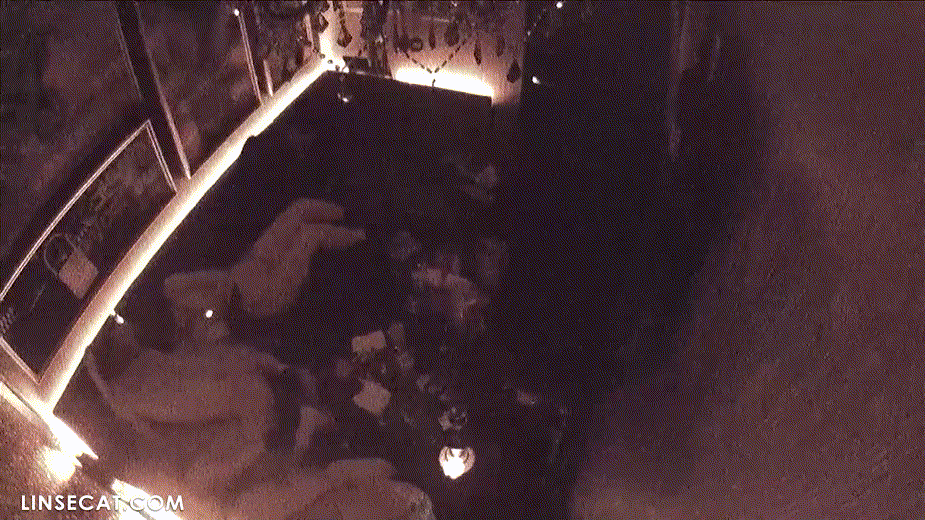 fcbbc988f545952d17c3b28cc90e9628_1744897197_3841.gif