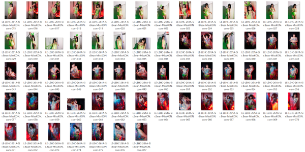 1c5d7341acabe2c4561b48f98100d175_1743941145_054.png