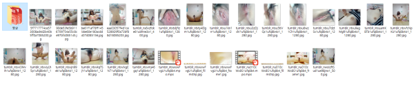 729107eef66217567450098eb8d3fc2e_1744636584_393.png