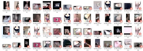 8f15595eecc3d9d6fd11d46889ab3daa_1745839894_1921.png