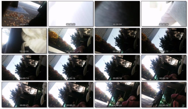 d56dba8f10c4d0ed4e46a4df84cc2cd2_1745376888_3507.jpg