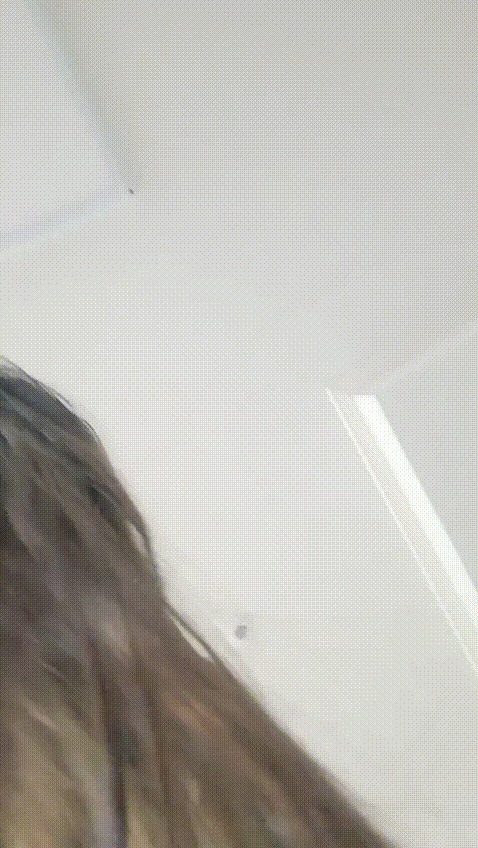 1a293a608d94a89a6710a2309ef96c12_1747738974_0938.gif