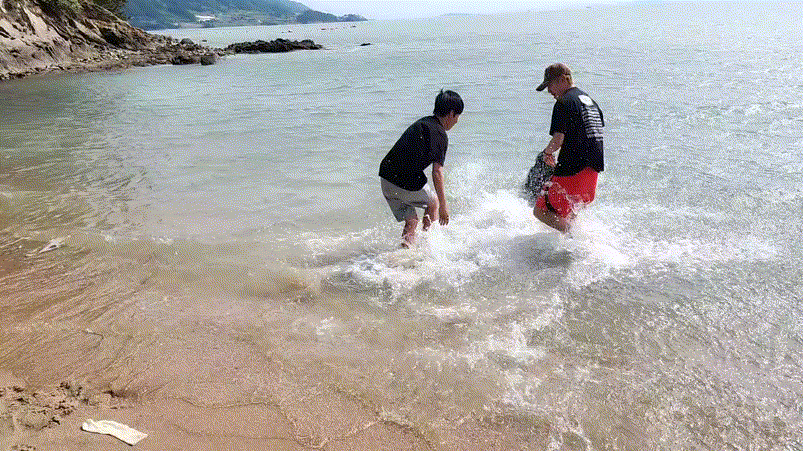 29285817bb4007b82223eb92e1e2c4ad_1747373076_1986.gif
