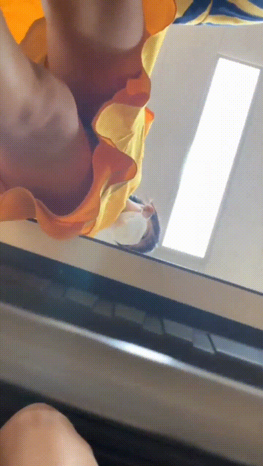 2e5aae4967596204f4843bc884d1ee09_1746385344_6954.gif
