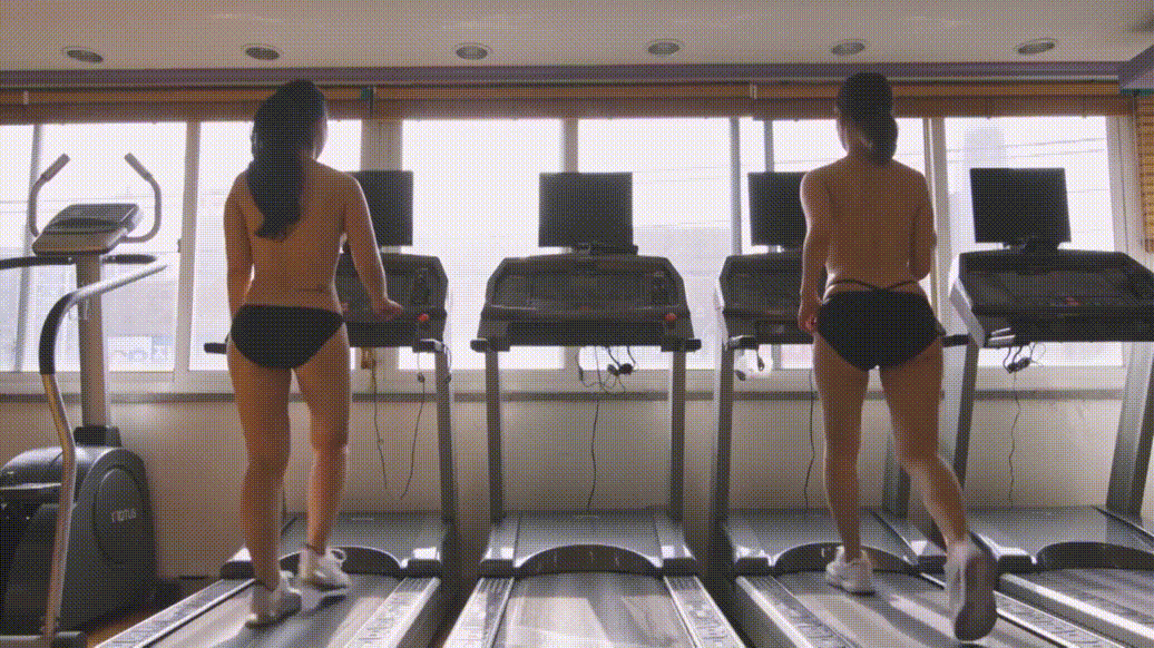 33833b01815249f2d167384802299725_1747282378_528.gif