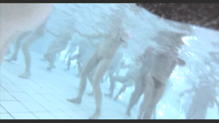 347f786580a2a4d995f49899927666b4_1747054893_9389.gif