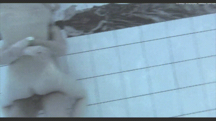 347f786580a2a4d995f49899927666b4_1747054906_2349.gif