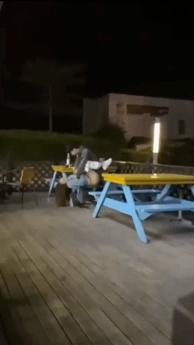 387a7088630efba8d6873160fe5c19ae_1746351117_0117.gif