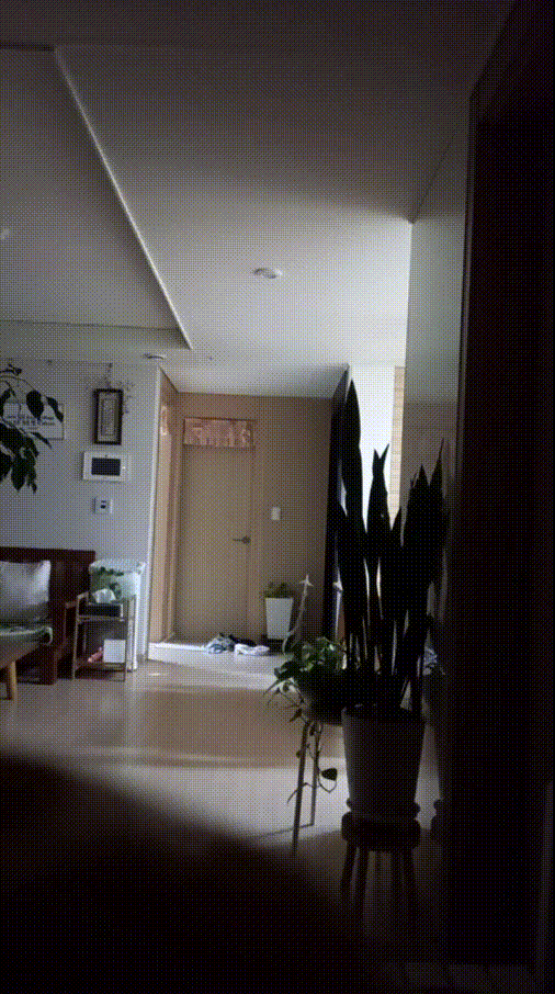 3998546c9560677b55476b45f4eb0d73_1748019670_0736.gif