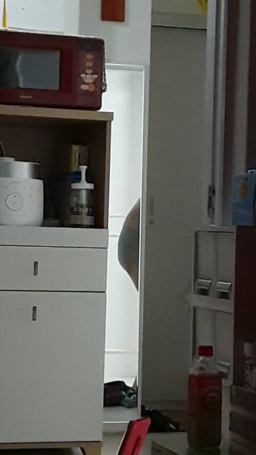 3998546c9560677b55476b45f4eb0d73_1748019776_1197.gif