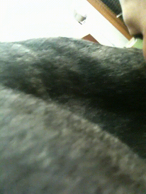 469bd6187cb305dd3c0757e86dd024ea_1746284161_8858.gif