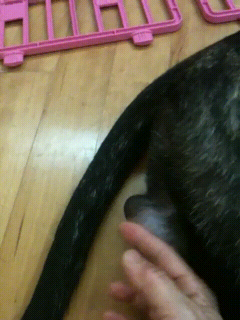 469bd6187cb305dd3c0757e86dd024ea_1746284167_7939.gif