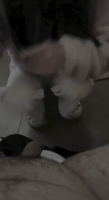 4cdd5cd5dbf340448e0b0c7a2e8e5b8d_1748492646_7715.gif