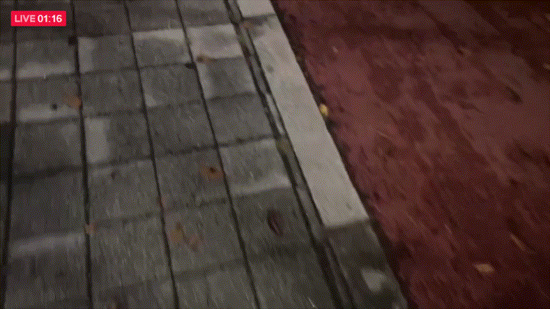 588d2dc3371798f4e69281250593489d_1747819879_2381.gif