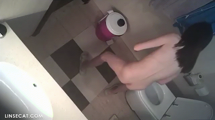 588d2dc3371798f4e69281250593489d_1747820620_3147.gif