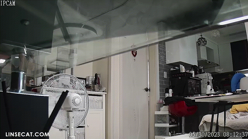 588d2dc3371798f4e69281250593489d_1747820649_7321.gif
