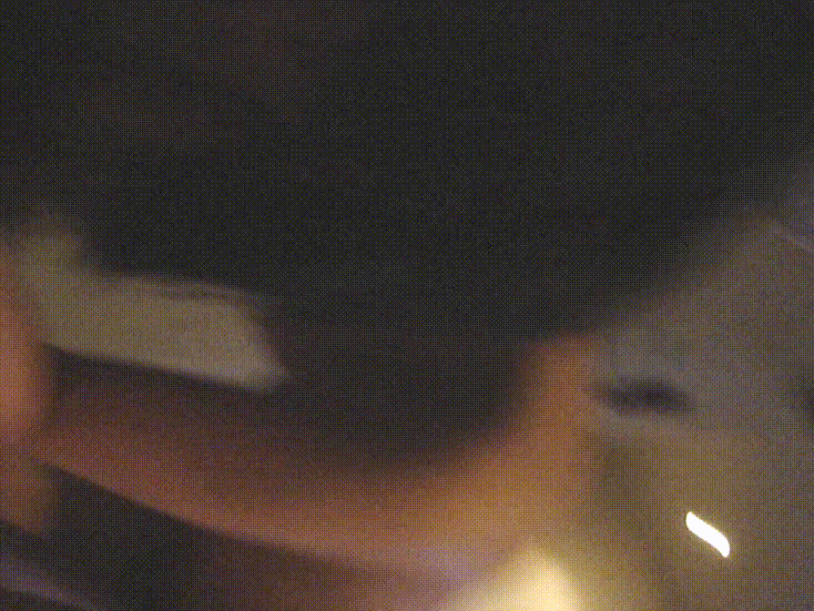 73d6ffbba1753d414d369154517b97d1_1747640104_0205.gif