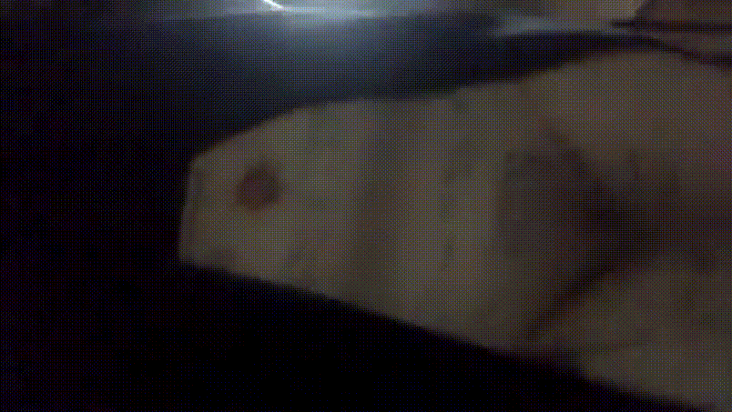 92b1826b5aed3287d508fa7da09b2880_1748318860_6307.gif
