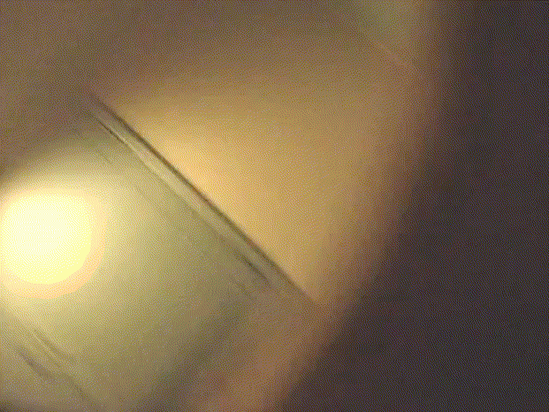 92b1826b5aed3287d508fa7da09b2880_1748319184_6336.gif