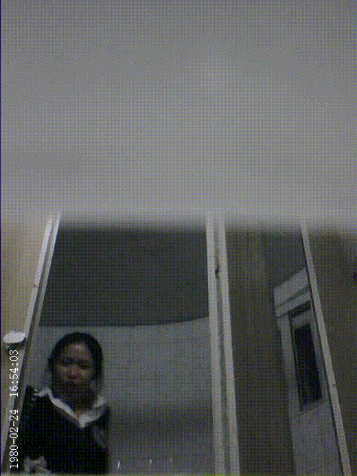 9d18bc8ab0247eb5c91b2943107c0fc2_1747643859_2495.gif