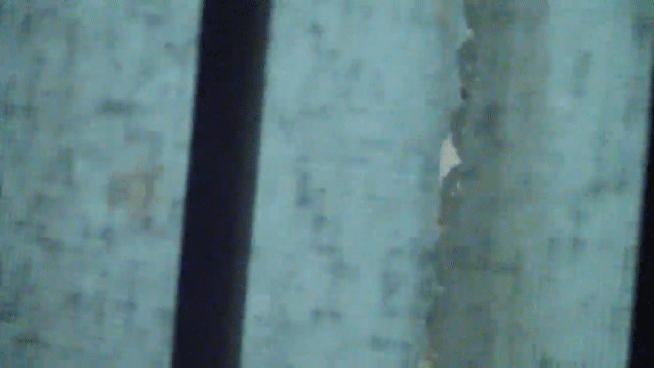 a3b707de6d52445bc03e218c021d4f4e_1746682980_3257.gif