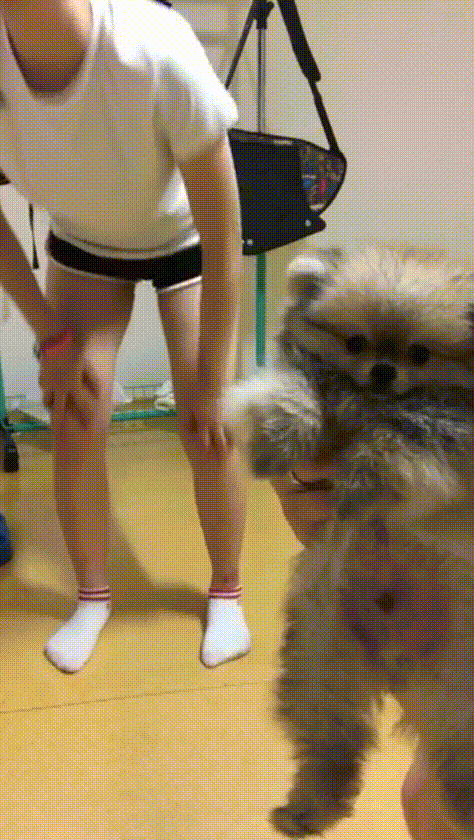 a419651299c93c5bb80f4cbb4b16eb1f_1746078285_2849.gif