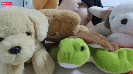 ba538361ce429a0ca126d66de10c47dd_1746583693_8375.gif