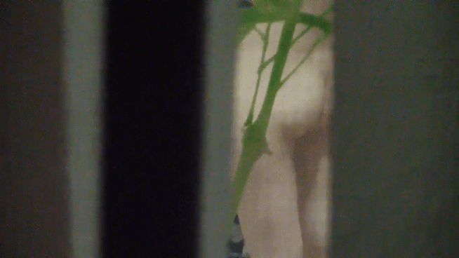 bde117550dc1fe9b106b412ae22870d9_1748152732_6934.gif