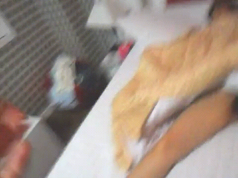 be255421453b8b8078c710f55cdad1fe_1747457446_5493.gif