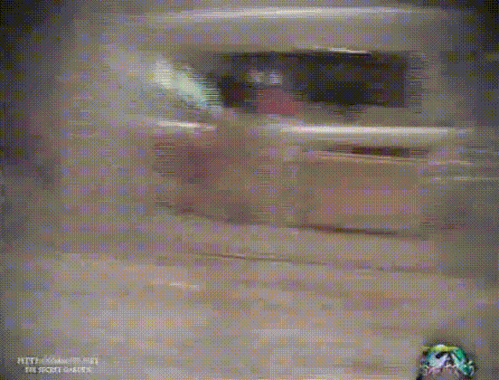 c0dee90f26936388d48723cfb1e6305f_1747379570_1563.gif