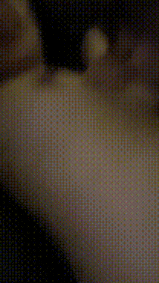 c34a904208621cf736d140a24a286ae1_1747655512_0891.gif