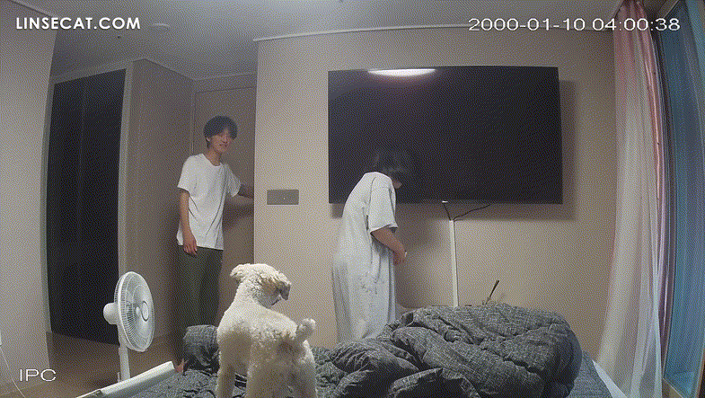 cdfc0fe284a4a7327efd3c428ea7c1fe_1747459812_2246.gif
