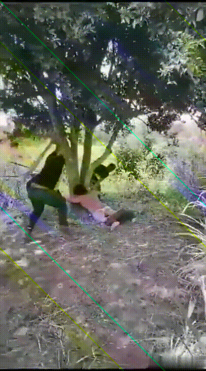 e15b08f47f48310148a06417beab2224_1747743971_5027.gif