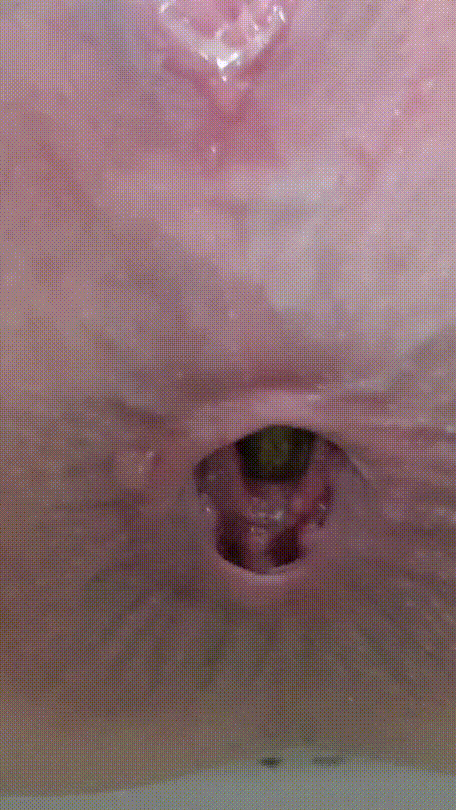 eb4c98173a69760debd1d8007f1ab103_1748147027_1162.gif