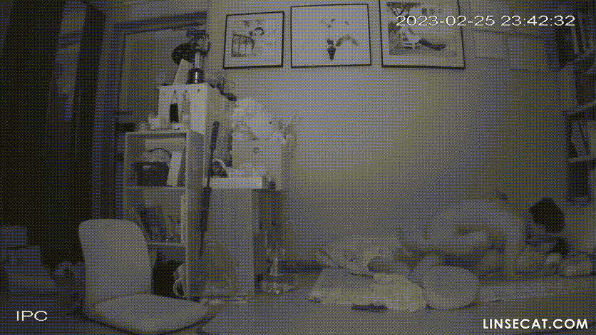 fd7e22745e956504f73e358c92e49620_1747106625_7995.gif