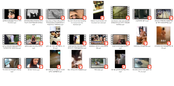 68c257dff43148e4e1450f369ab94403_1748030332_0493.png