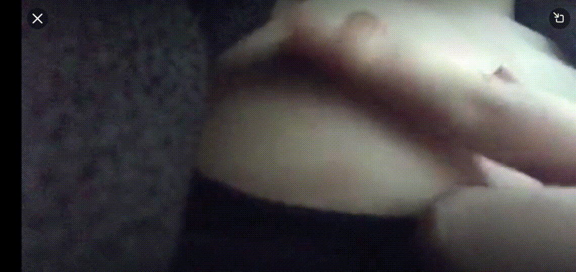 0c929378a64fa03c4f746ef205dc9970_1749452540_6935.gif