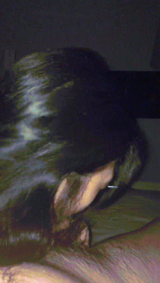 1b93c352308a02d942ca760a2d851401_1750440096_3665.gif