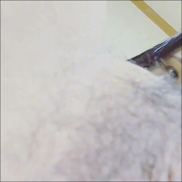 2432cef9b97ef00ee04732f498c61b52_1749532272_6354.gif