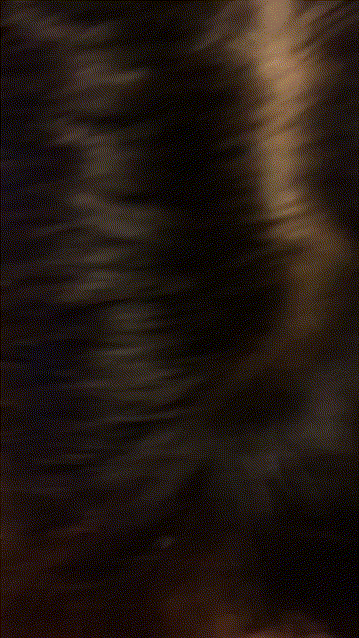 2a2a2659355281ab1db00edf121a966d_1749617305_0127.gif