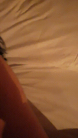 2e2043a032e3a1615292e9a2ef1710fa_1751187487_0836.gif