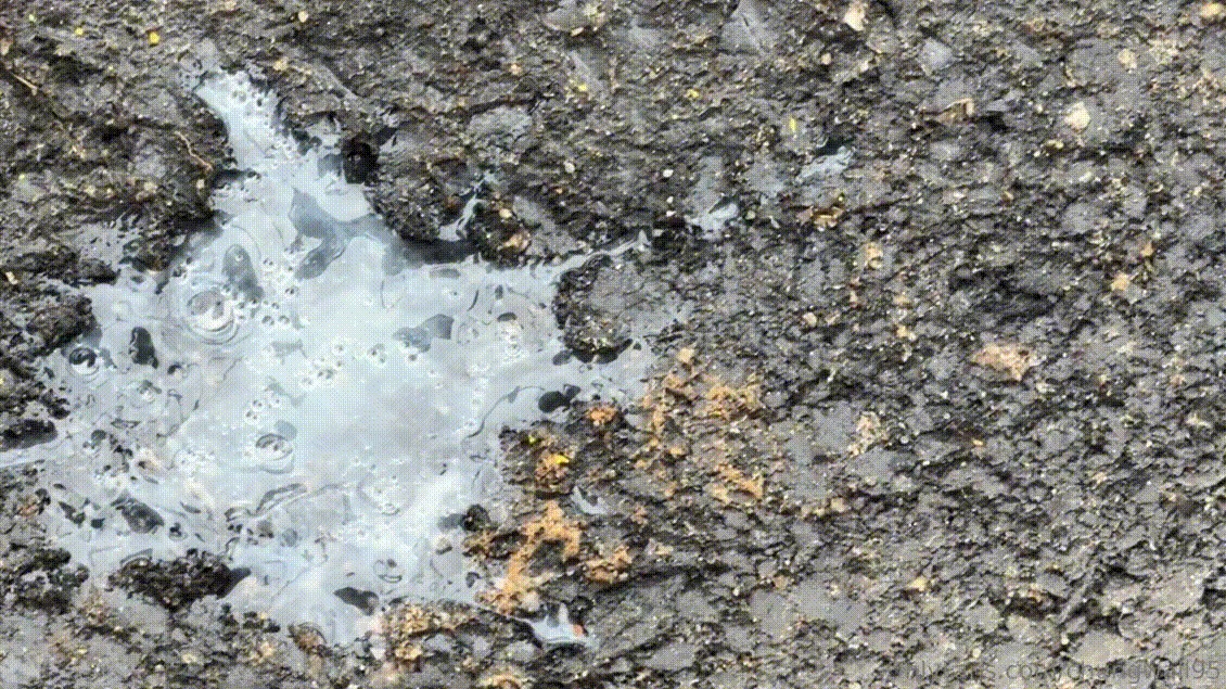 46d592143724e4df8f88aae848ccb740_1751038648_9112.gif